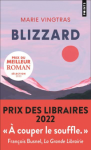 Blizzard vignette